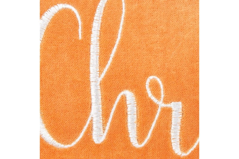 Pynteputer Lithops sett av 2 - Tekstiler - Pute & pledd - Hagepute