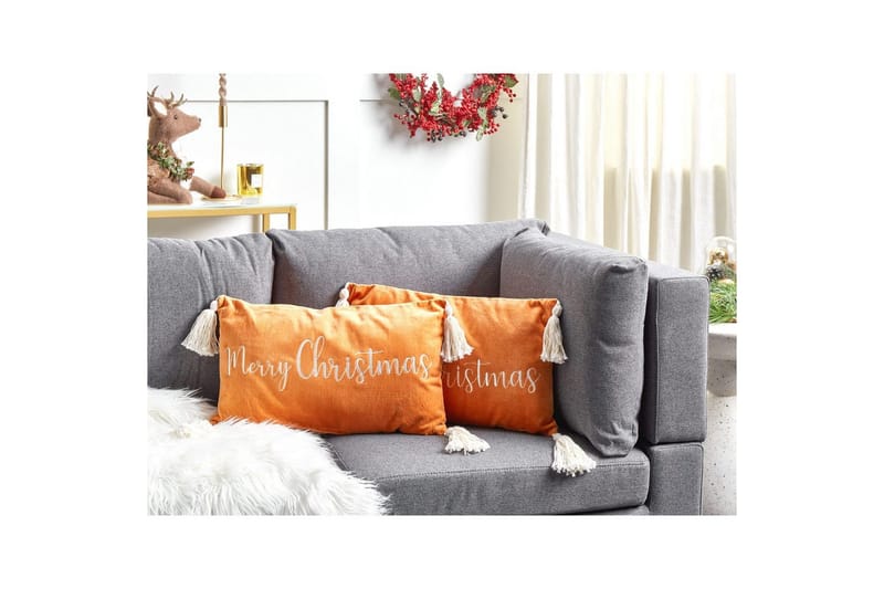 Pynteputer Lithops sett av 2 - Tekstiler - Pute & pledd - Hagepute