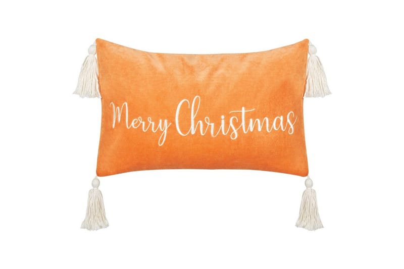 Pynteputer Lithops, undefined