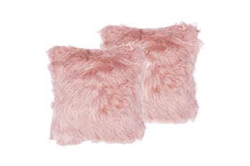 Pynteputer Lubha sett med 2 Rosa