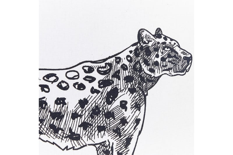 Pynteputer Marula sett av 2 Hvit/Svart - Hvit/Svart - Tekstiler - Pute & pledd - Hagepute