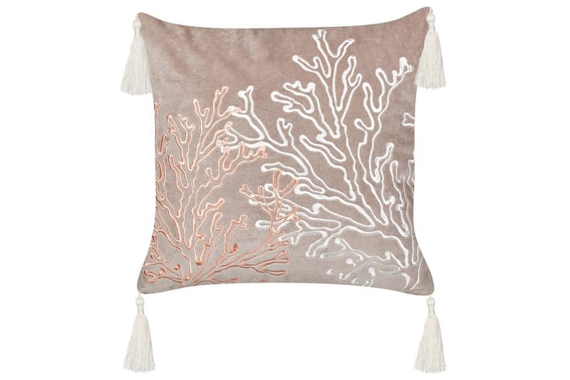 Pynteputer Mazzaella, undefined