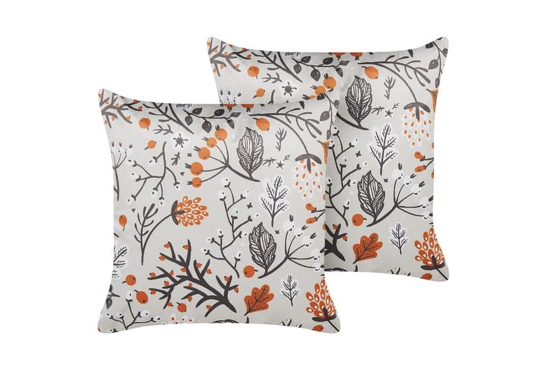 Pynteputer Montbretia sett med 2, undefined