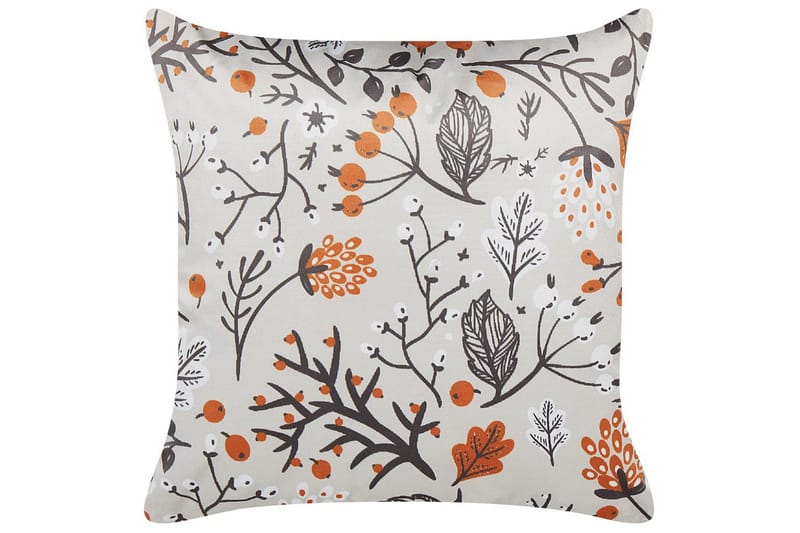 Pynteputer Montbretia, undefined