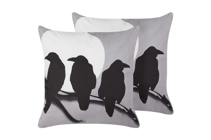 Pynteputer Oradea sett av 2, undefined