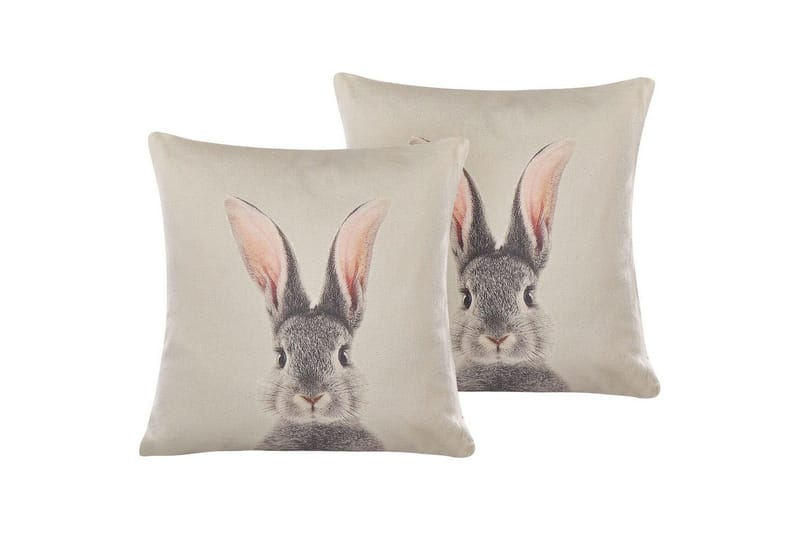 Pynteputer Quercus sett med 2, undefined