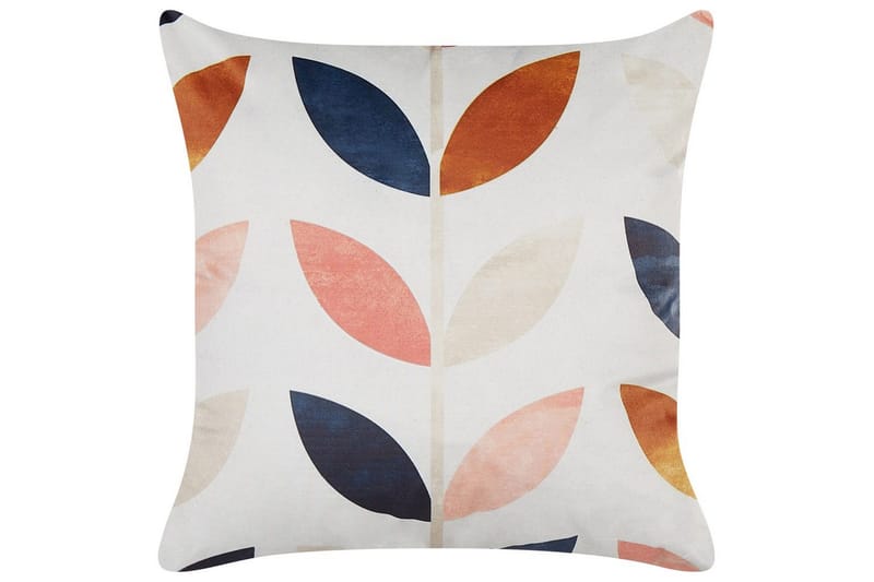 Pynteputer Quinoa, undefined