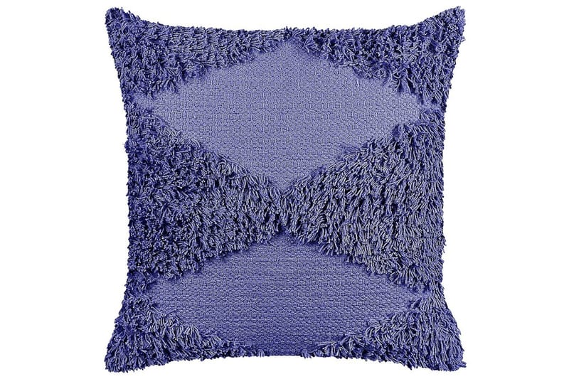 Fiolett Pynteputer Rhoeo Fiolett