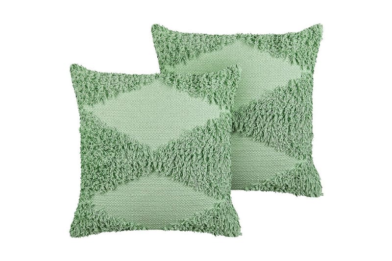 Pynteputer Rhoeo sett av 2 Grønn, Grønn