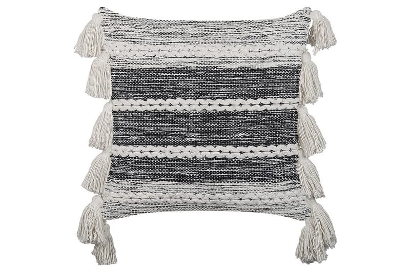 Pynteputer Rochea, undefined