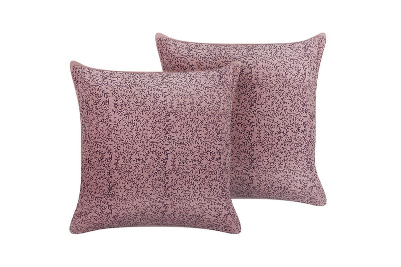 Pynteputer Romneya sett på 2, undefined