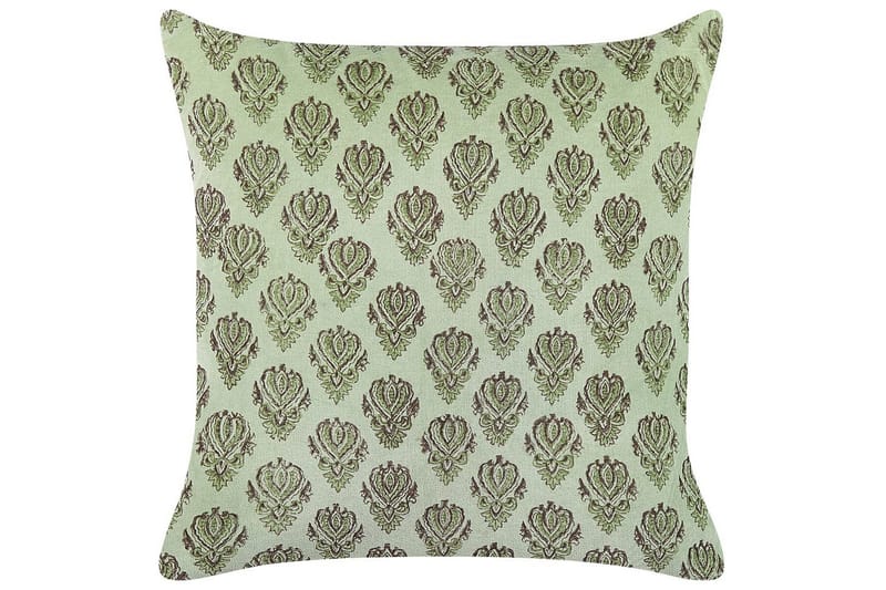 Pynteputer Rungia, undefined