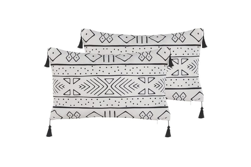 Pynteputer Schefflera sett med 2 stk. Rektangulær, Rektangulær