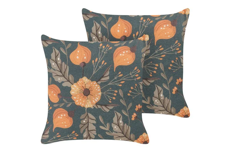 Pynteputer Sotol, undefined