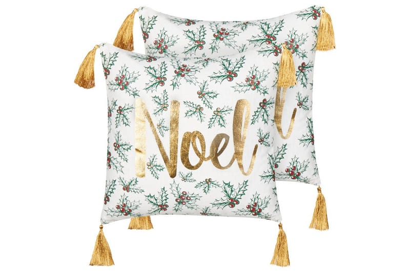 Pynteputer Zamia sett med 2, undefined