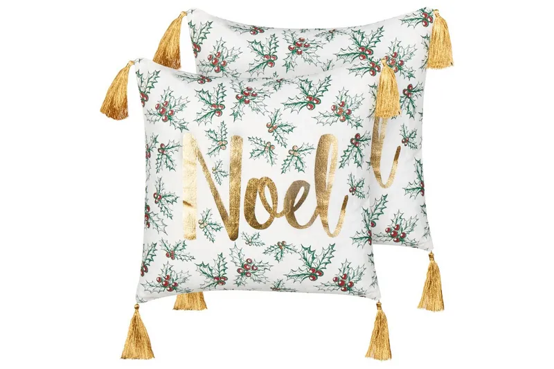 Pynteputer Zamia sett med 2, undefined