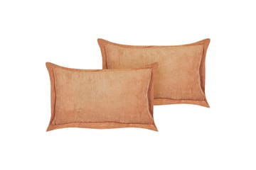 Pynteputer Zinnia sett med 2 Oransje, Rektangulær