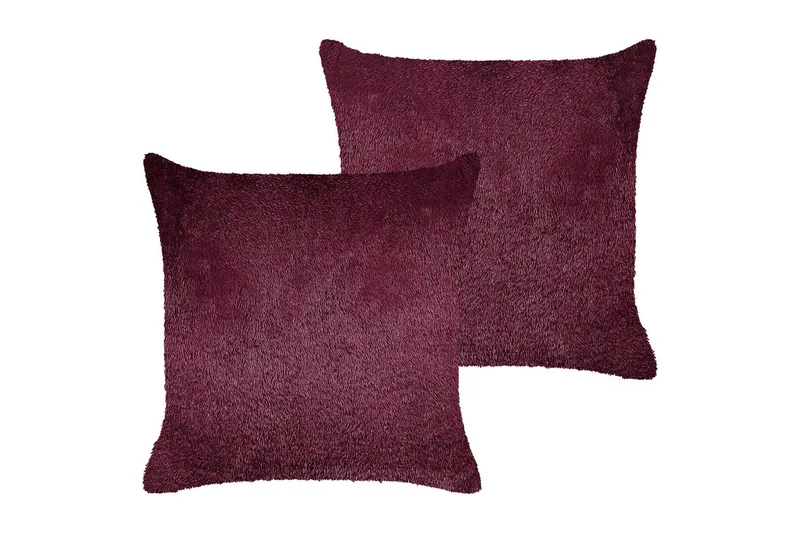 Pynteputer Pilea sett med 2 Rød, Rød