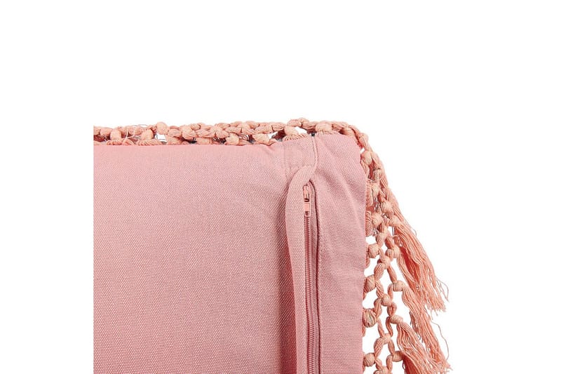 Pynteputer Parrotia sett av 2 - Tekstiler - Pute & pledd - Hagepute