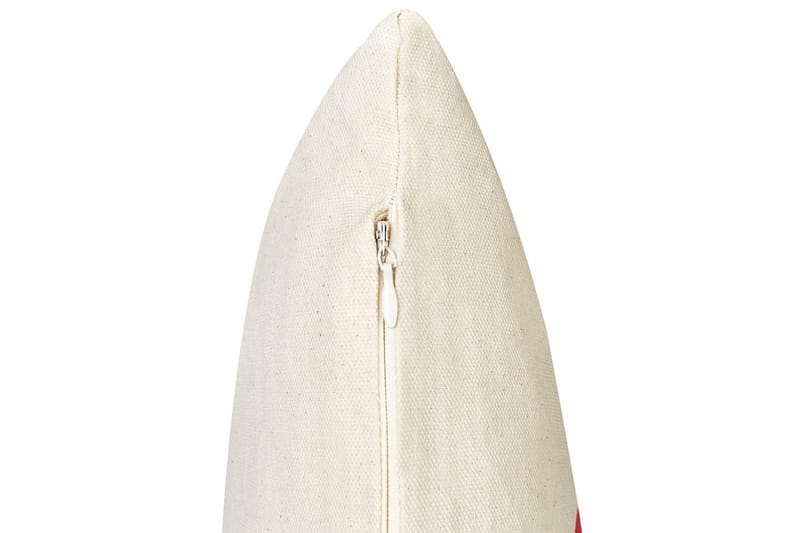 Pynteputer Plumeria sett av 2 - Tekstiler - Pute & pledd - Hagepute