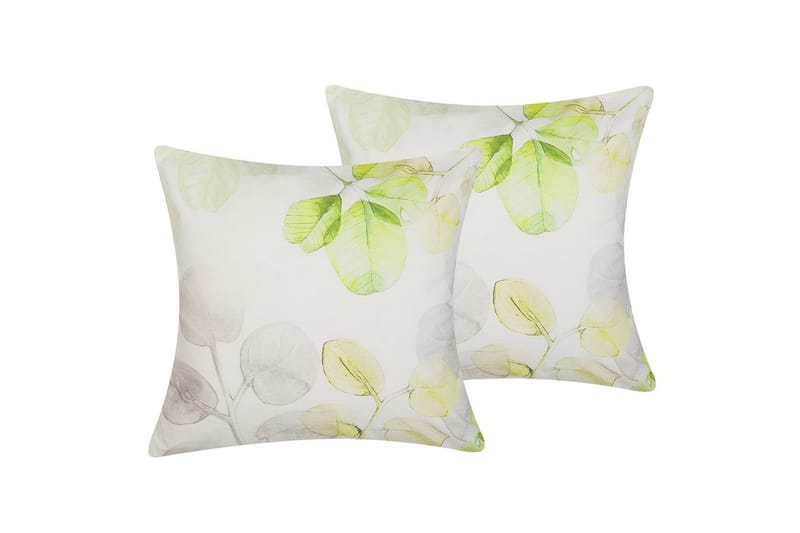 Pynteputer Peperomia sett med 2, undefined