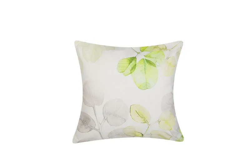 Pynteputer Peperomia, undefined