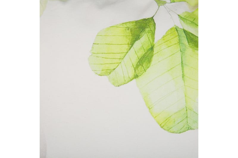 Pynteputer Peperomia sett med 2 - Tekstiler - Pute & pledd - Pynteputer