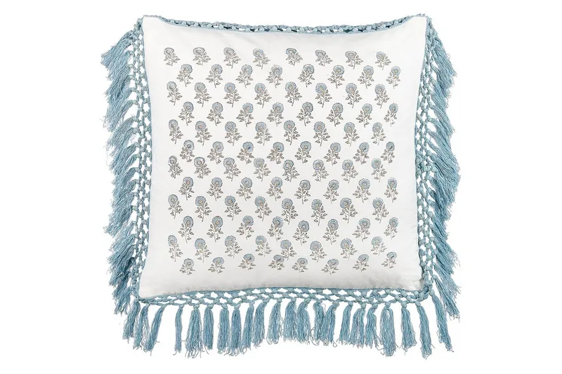 Pynteputer Pallida, undefined