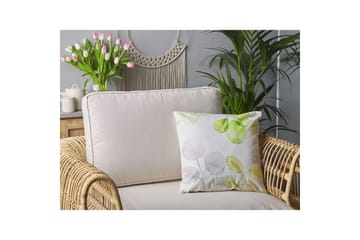 Pynteputer Peperomia - Hagemøbler - Puter - Sofaputer & benkeputer