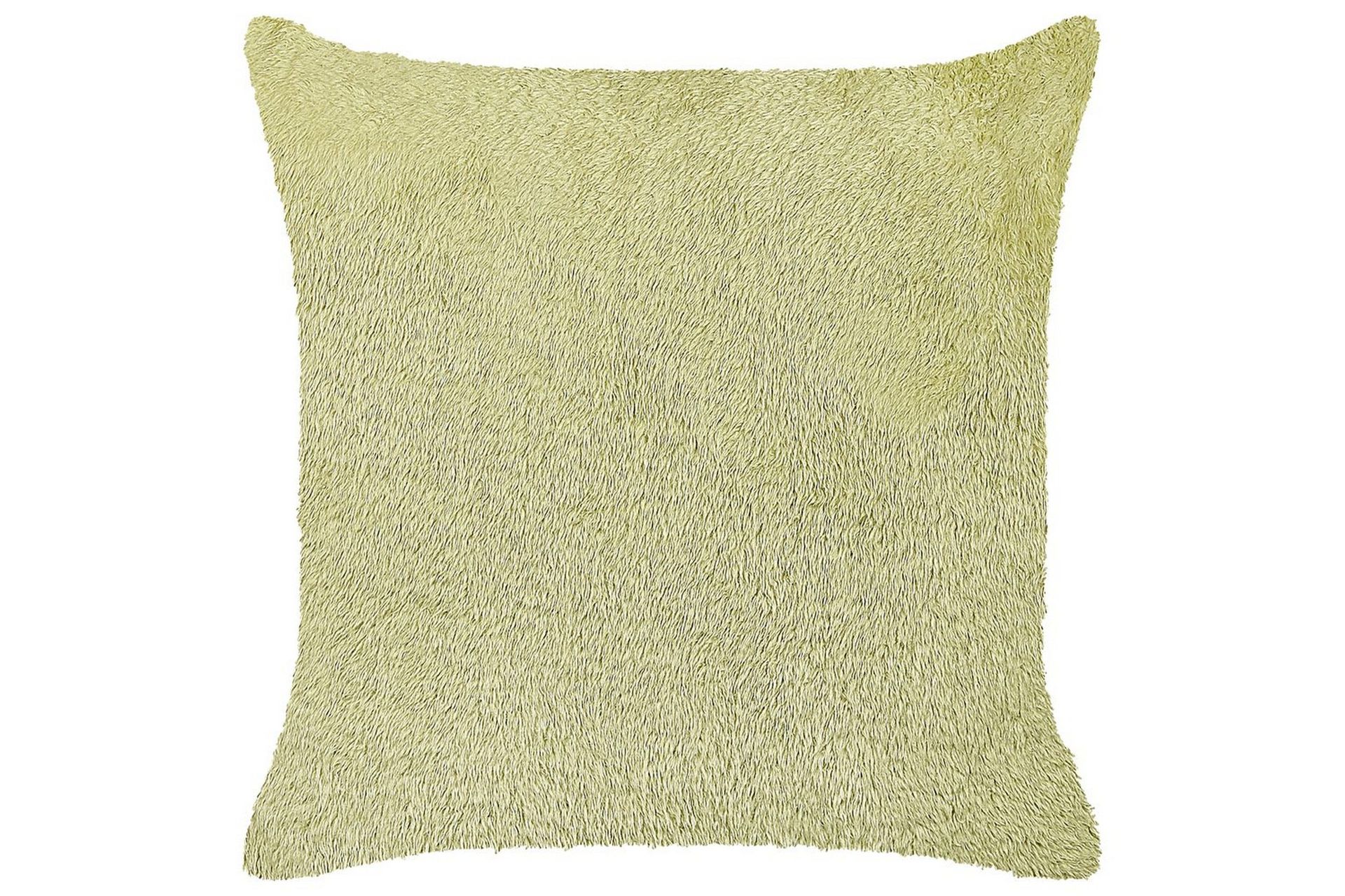 Pynteputer Pilea Grønn - Grønn