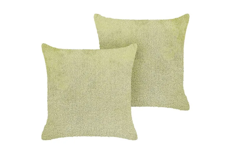 Pynteputer Pilea sett med 2 Grønn, Grønn