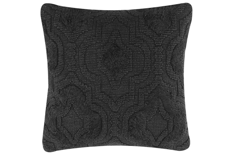 Pynteputer Paika, undefined