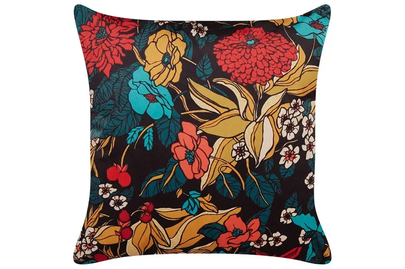 Pynteputer Protea, undefined