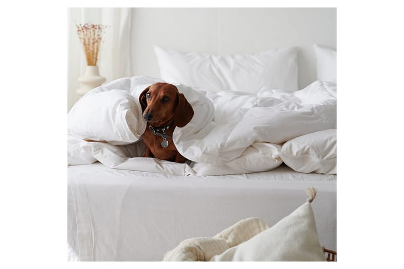 Dyne Hotellteppe 220 x 210 cm - Franzén - Tekstiler - Sengetøy - Dyne - Dobbeltdyne