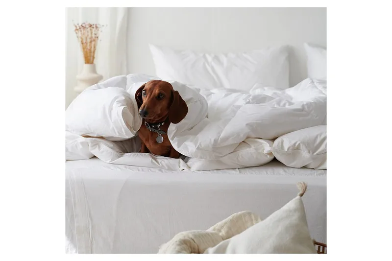 Dyne Hotellteppe 150 x 200 cm - Standard - Tekstiler - Sengetøy - Dyne