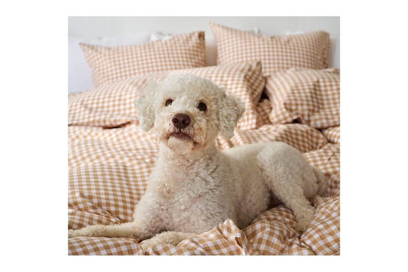 Dynetrekksett enkeltseng 2-delt Märta Ruta - Gul - Tekstiler - Sengetøy - Sengetøysett & dynetrekksett