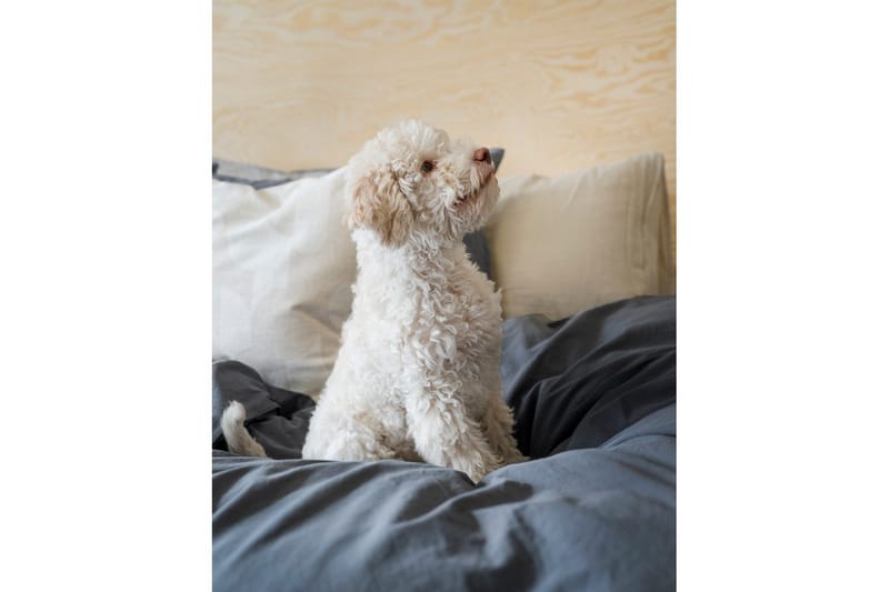 Dynetrekksett Dobbeltseng 3-Dels Percale - Blå - Tekstiler - Sengetøy - Sengetøysett & dynetrekksett