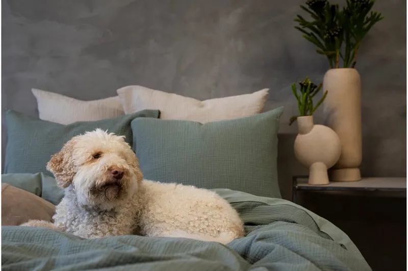 Dynetrekksett Dobbeltseng 3-Dels Rolling - Grønn - Tekstiler - Sengetøy - Sengetøysett & dynetrekksett - Sengesett enkeltseng