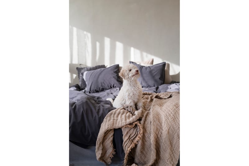 Percale 3-deler Sengetøysett 210x220/50x60 cm Midnattblå - Borganäs - Tekstiler - Sengetøy - Sengetøysett & dynetrekksett