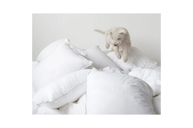 Pute Hotellpute - 60 x 80 cm - Tekstiler - Sengetøy - Sovepute - Innerputer