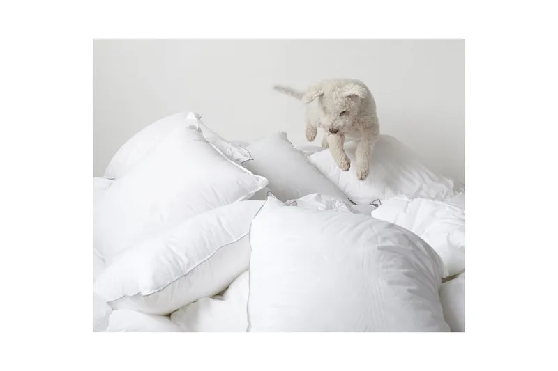 Pute Hotellpute - 60 x 80 cm - Tekstiler - Sengetøy - Sovepute - Innerputer