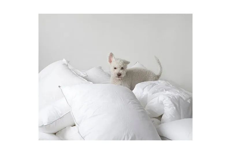 Pute Hotellpute - 50 x 70 cm - Tekstiler - Sengetøy - Sovepute - Innerputer