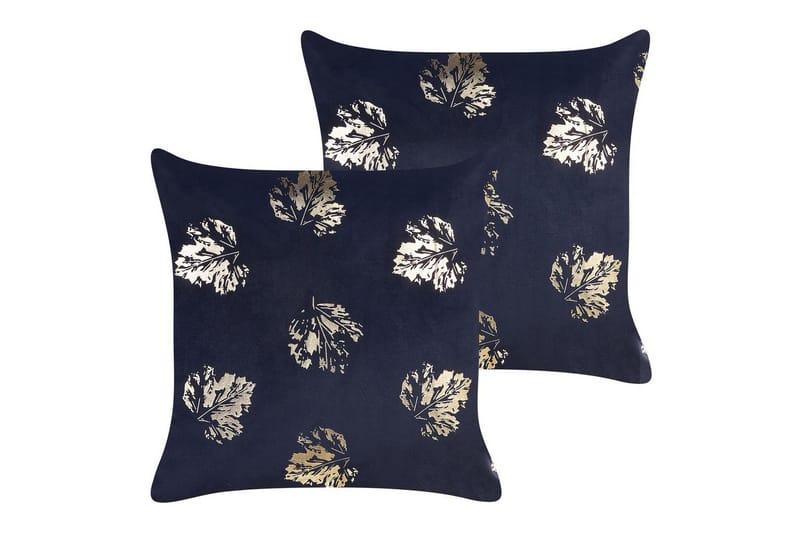 Pynteputer Goldenrod sett á 2 Svart/gull, Svart/gull