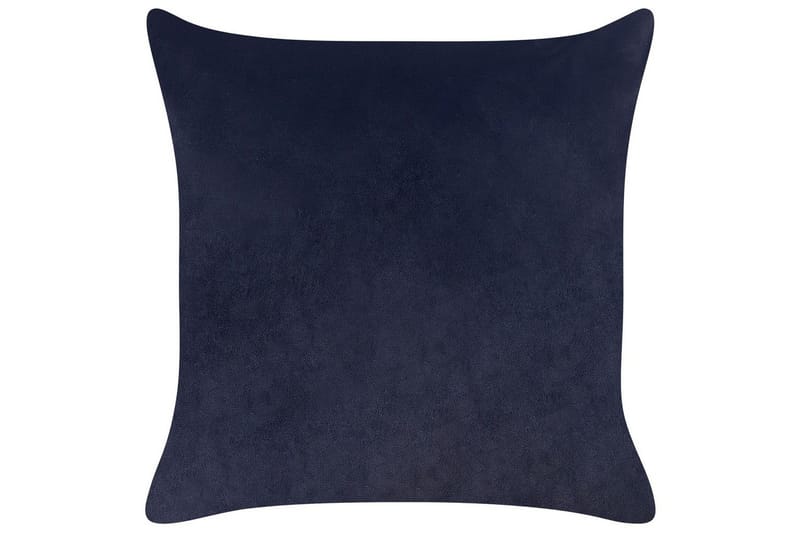 Pynteputer Goldenrod sett á 2 Svart/gull - Svart/gull - Tekstiler - Sengetøy - Sovepute - Innerputer