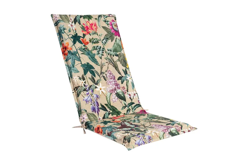 Amazonia Sitte / Ryggpute, undefined