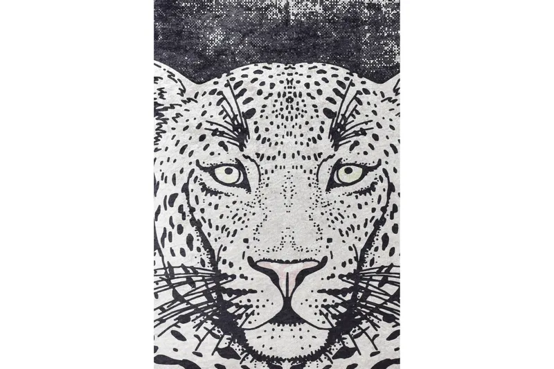 Matte Tiger - Svart, Svart / Fløyel