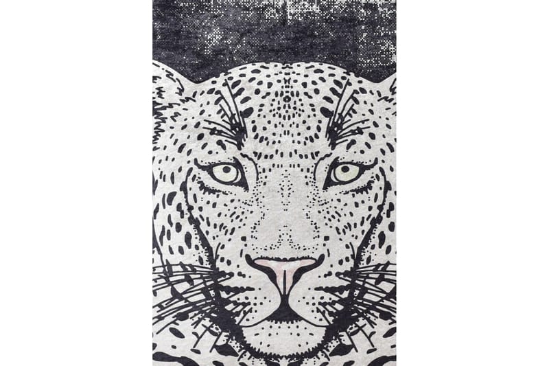 Matte Tiger - Svart, Svart / Fløyel