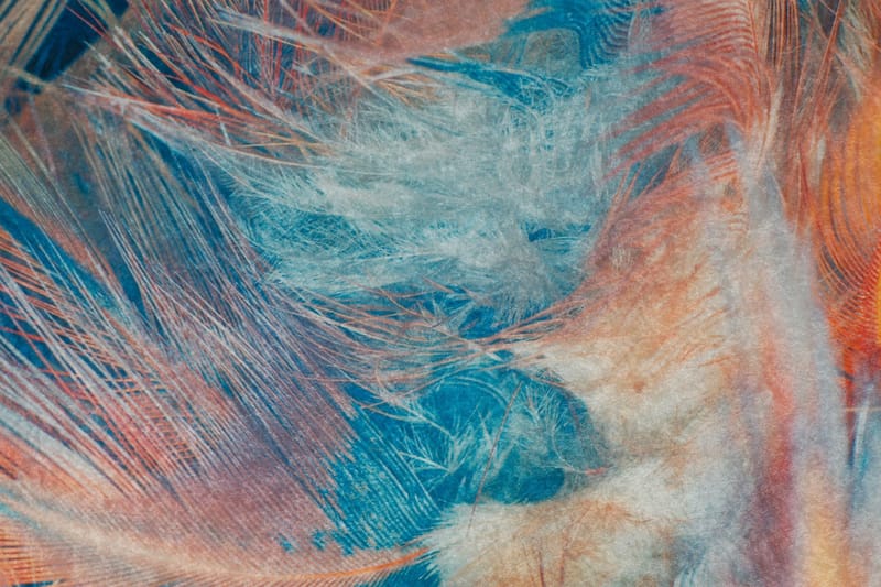 Matte Van - Flerfarget - Tekstiler - Tepper & Matter - Moderne tepper - Friezematter