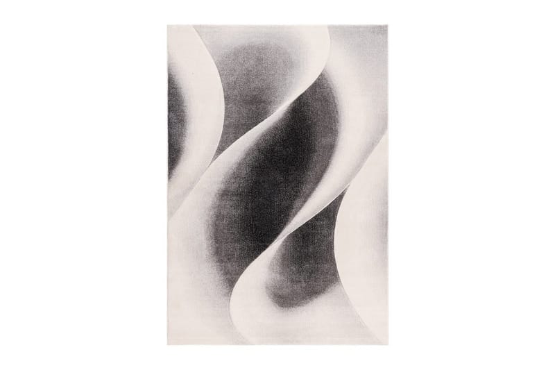 Maskinvevd teppe Brilliance Modern, 160x230 cm, Grå