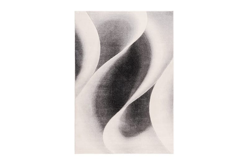 Maskinvevd teppe Brilliance Modern, 200x290 cm, Grå